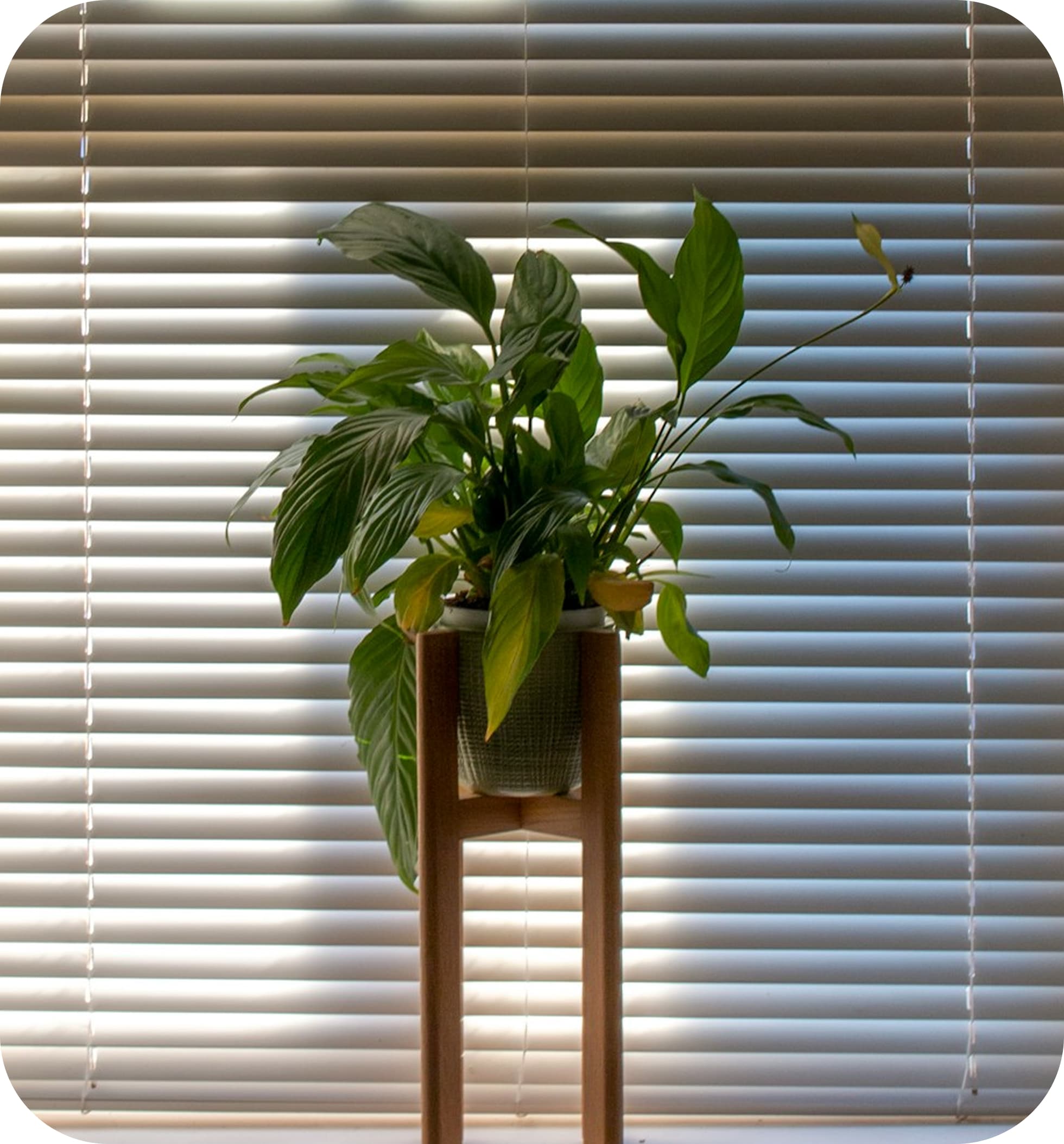 Zdjęcie umieszczone w formie kontaktowej